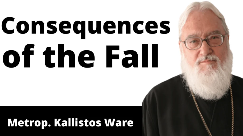Consequences of the Fall